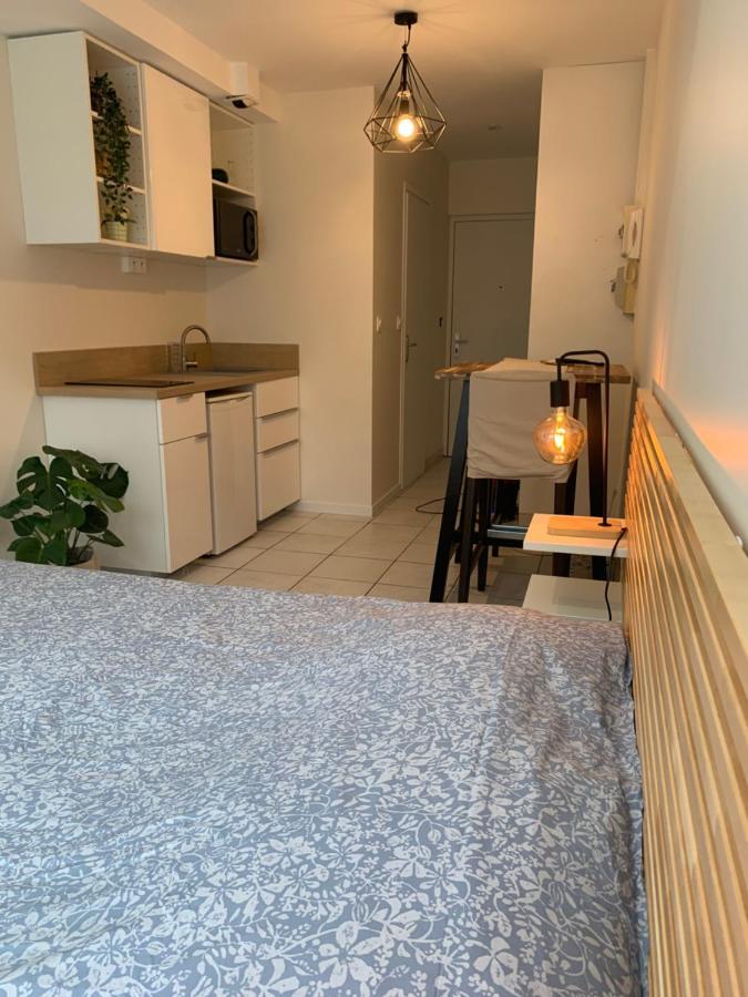 Apt Lyon Flachet Villeurbanne Bagian luar foto